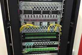 asiaertebat_section-projectDone5